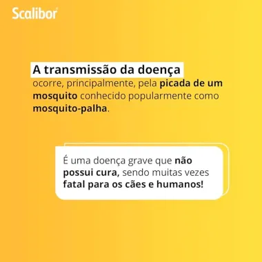 Coleira Scalibor Antiparasitária para Cães Auxilia no Controle de Infestações de Carrapatos, Pulgas e Mosquitos Leishmaniose 48cm 19g