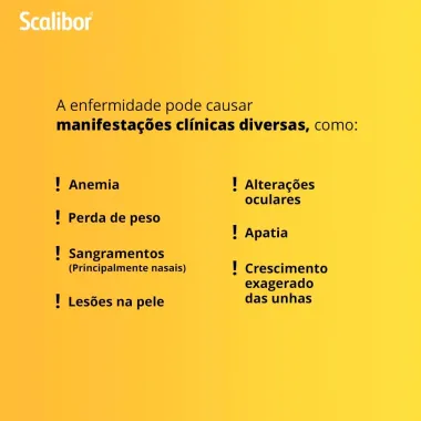 Coleira Scalibor Antiparasitária para Cães Auxilia no Controle de Infestações de Carrapatos, Pulgas e Mosquitos Leishmaniose 48cm 19g