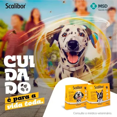 Coleira Scalibor Antiparasitária para Cães Auxilia no controle de Infestações de Carrapatos, Pulgas e Mosquitos Leishmaniose 65cm 25g