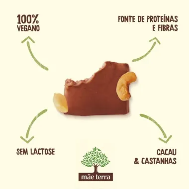 Barra de Proteína Mãe Terra Fit Cacau e Castanhas Zero Lactose 40g