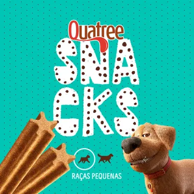 Petisco Quatree Snacks Sticks Sabor Menta para Cães Raças Pequenas 60g