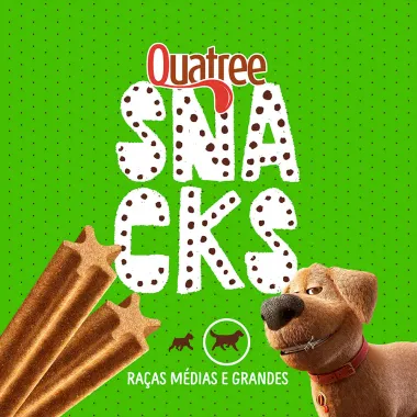 Petisco Quatree Snacks Sticks Sabor Menta para Cães Raças Médias e Grande 100g