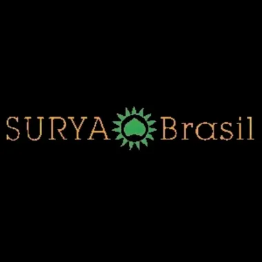 Henna Creme Surya Brasil Castanho Escuro Kit