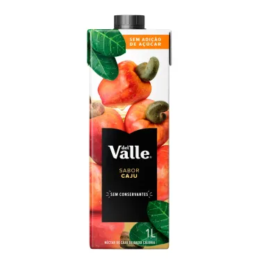 Suco Del Valle N&eacute;ctar Caju com 1 Litro