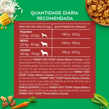 Ra&ccedil;&atilde;o para C&atilde;es Dog Chow Extra Life Adultos M&eacute;dios e Grandes 1kg