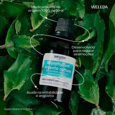BRYOPHYLLUM WELEDA D2 50ML
