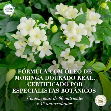 Shampoo Herbal Essences Bio:Renew Golden &Oacute;leo de Moringa 400ml