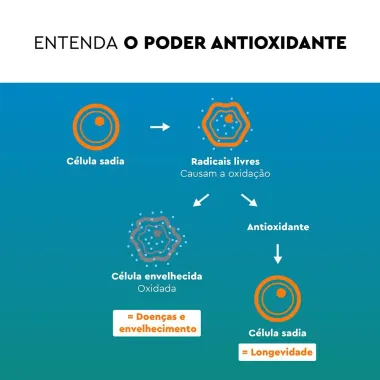 Lavitan Multi + C Sabor Guaraná com 10 Comprimidos Efervescentes