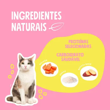 Ração para Gato Quatree Select Adulto Sabor Salmão e Arroz 3Kg