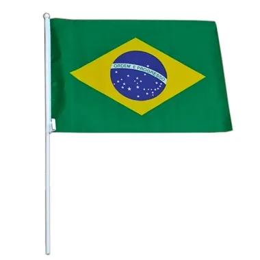 Bandeira do Brasil com Haste Grande 43cm x 30cm 1 Unidade