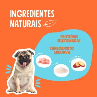 Ração para Cachorro Quatree Select Adulto Raças Pequenas Sabor Frango e Arroz 1Kg