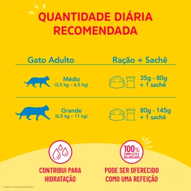 Ra&ccedil;&atilde;o para Gatos Friskies Adultos Sach&ecirc; Sabor Salm&atilde;o ao Molho com 85g