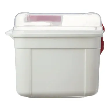 Caixa Organizadora de Medicamentos Média 1 Unidade