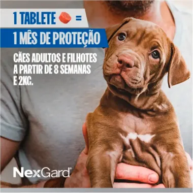 NexGard Contra Pulgas e Carrapatos para Cães de 4,1 a 10kg 1 Tablete Mastigável