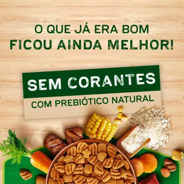 Ra&ccedil;&atilde;o Dog Chow C&atilde;es Adultos M&eacute;dios e Grandes Sabor Frango e Arroz 3kg