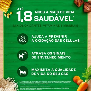 Ra&ccedil;&atilde;o Dog Chow C&atilde;es Adultos M&eacute;dios e Grandes Sabor Frango e Arroz 3kg