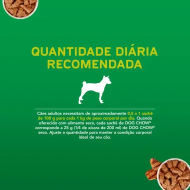 Ra&ccedil;&atilde;o &Uacute;mida para Cachorro Dog Chow Adulto Extra Life Sabor Carne em Sach&ecirc; 100g