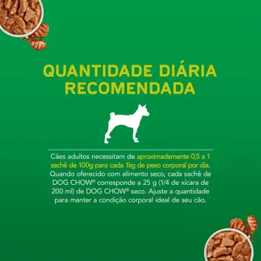 Ra&ccedil;&atilde;o &Uacute;mida para Cachorro Dog Chow Adulto Extra Life Sabor Cordeiro em Sach&ecirc; 100g