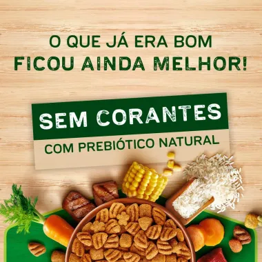 Ra&ccedil;&atilde;o para C&atilde;es Dog Chow Extra Life Filhotes Minis e Pequenos Carne Frango e Arroz 1kg