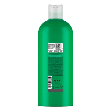 Shampoo Seda Cachos Definidos Tamanho Família 670ml Verso