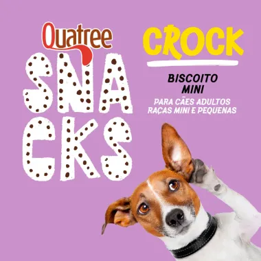 Snacks Biscoito Mini Quatree Crock para Cães Adultos Raças Mini e Pequenas 400g