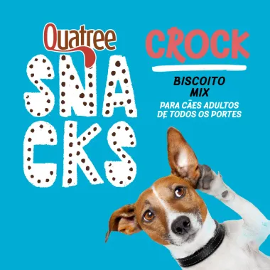 Quatree Snacks Biscoito Mix para Cães Crock Adultos 400g