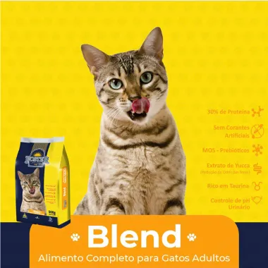 Ração para Gatos Foster Premium Cats Adultos Blend 1Kg_2