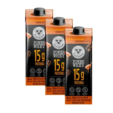 Kit 3 Bebida Láctea 3 Corações Power Whey com 15g de Proteína