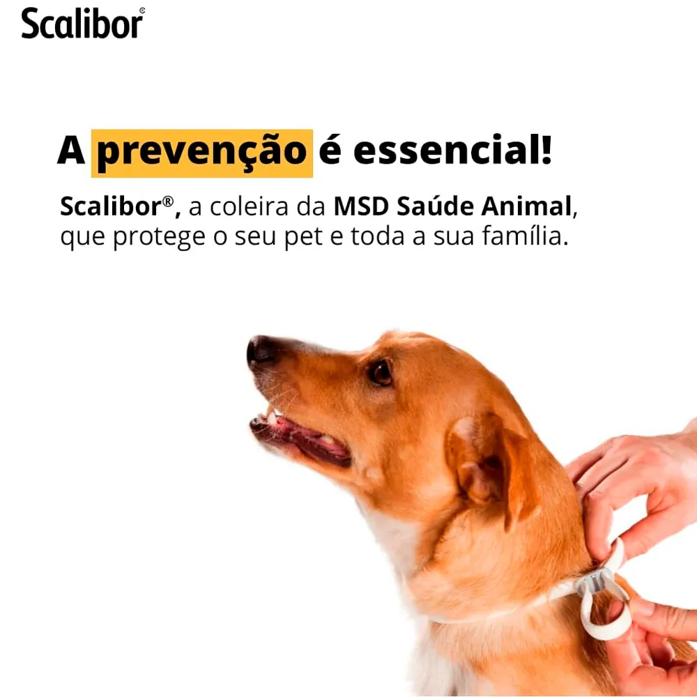 Coleira Scalibor Antiparasitária para Cães Auxilia no Controle de Infestações de Carrapatos, Pulgas e Mosquitos Leishmaniose 48cm 19g