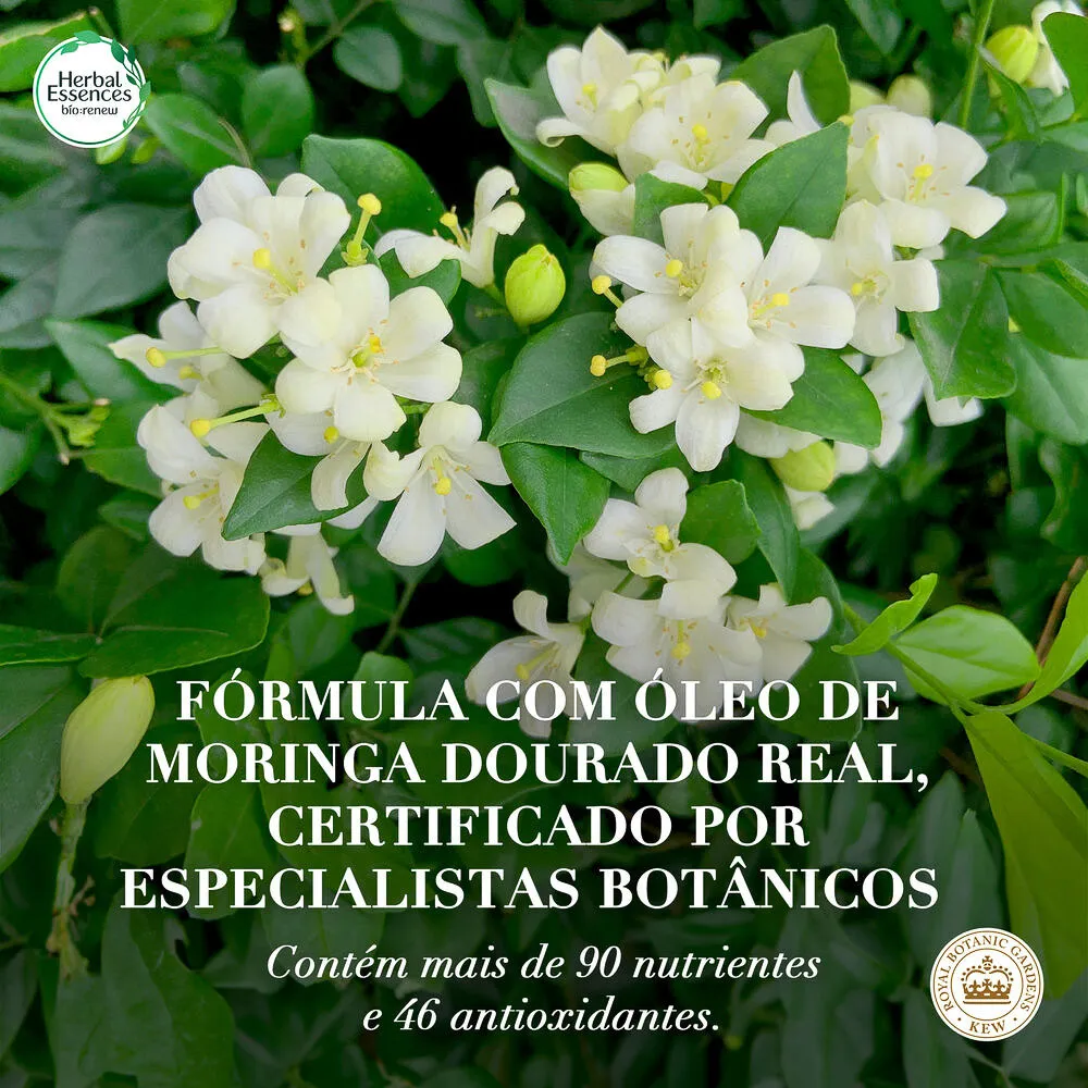 Condicionador Herbal Essences Bio:Renew Golden Óleo de Moringa 400ml